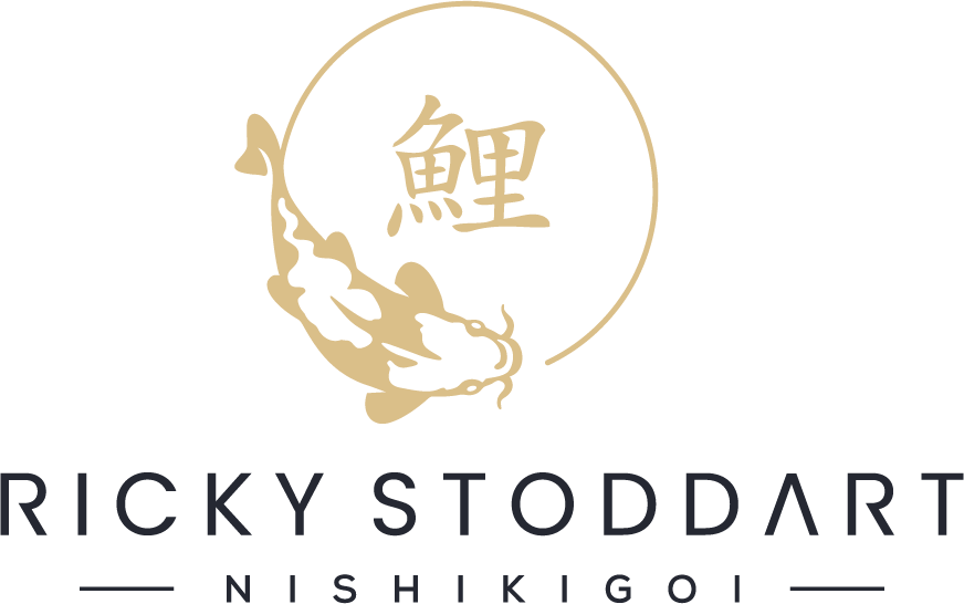 Ricky Stoddart Nishikigoi